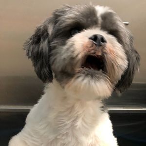 Meet your Posher, Marie